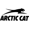 Piston Arctic Cat